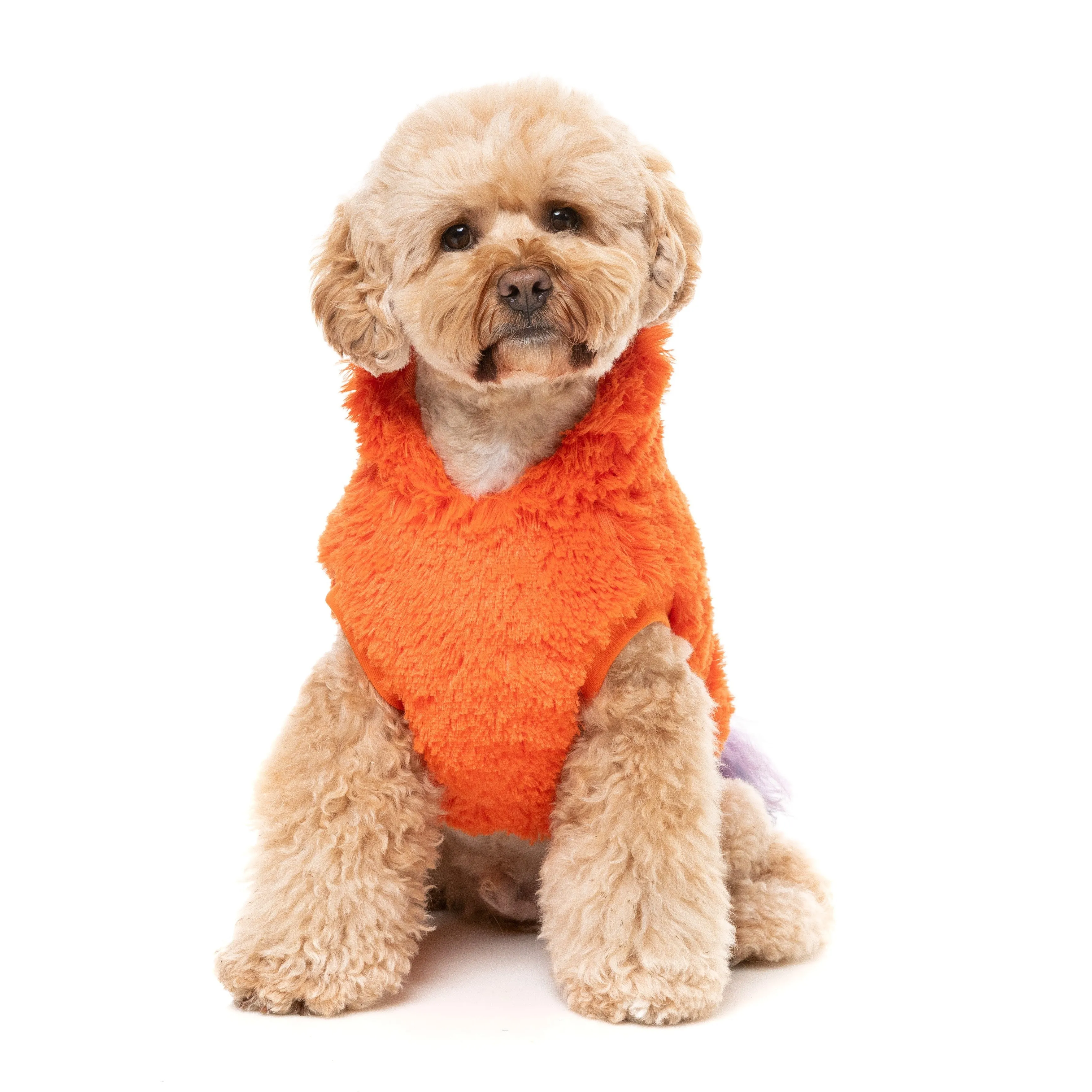 FuzzYard Halloween Dog Apparel Pumpkin Head Hoodie Size 2***